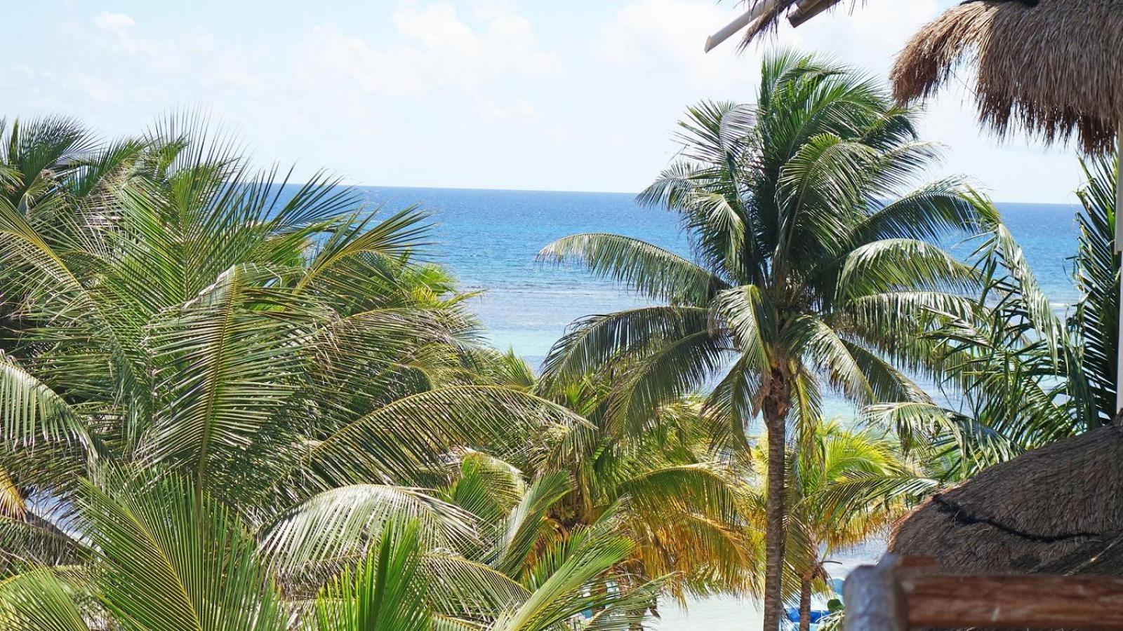 El Fuerte Beach Apartments マアウアル 部屋 写真